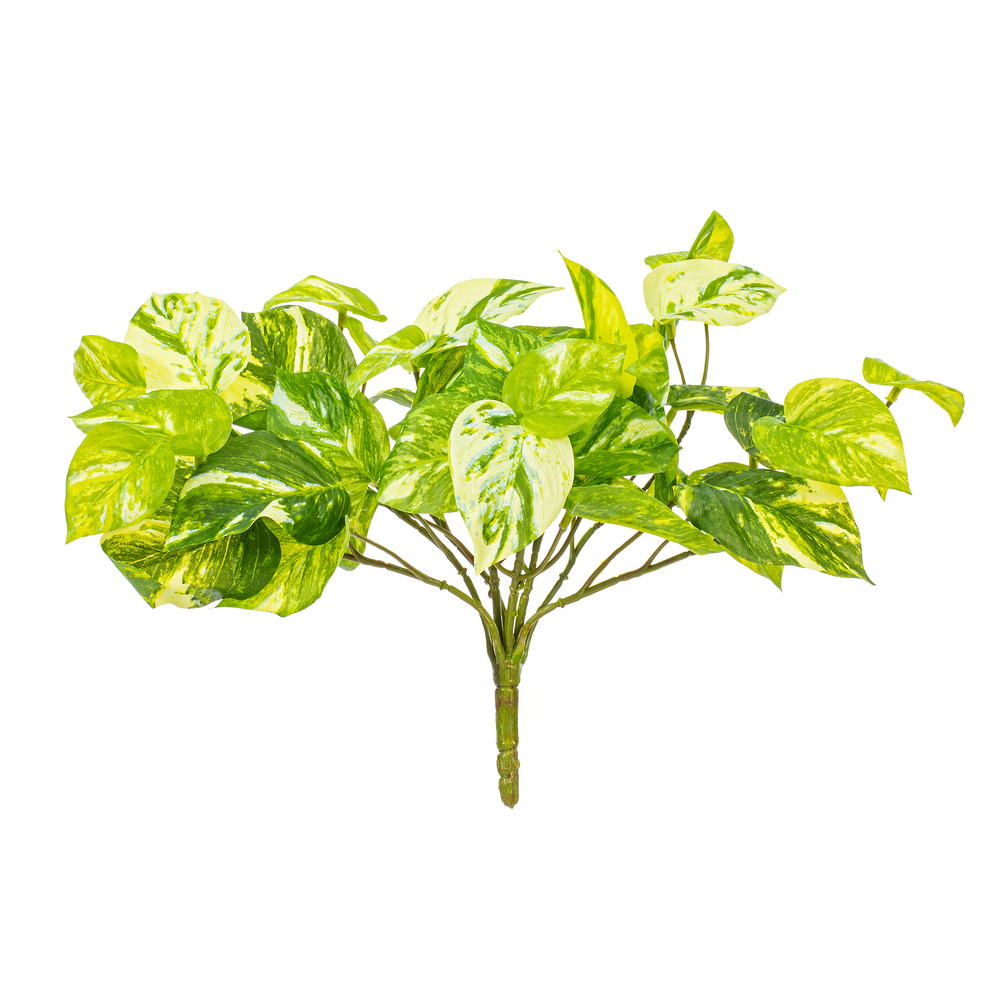 Vickerman Artificial Manjula Pothos Bush