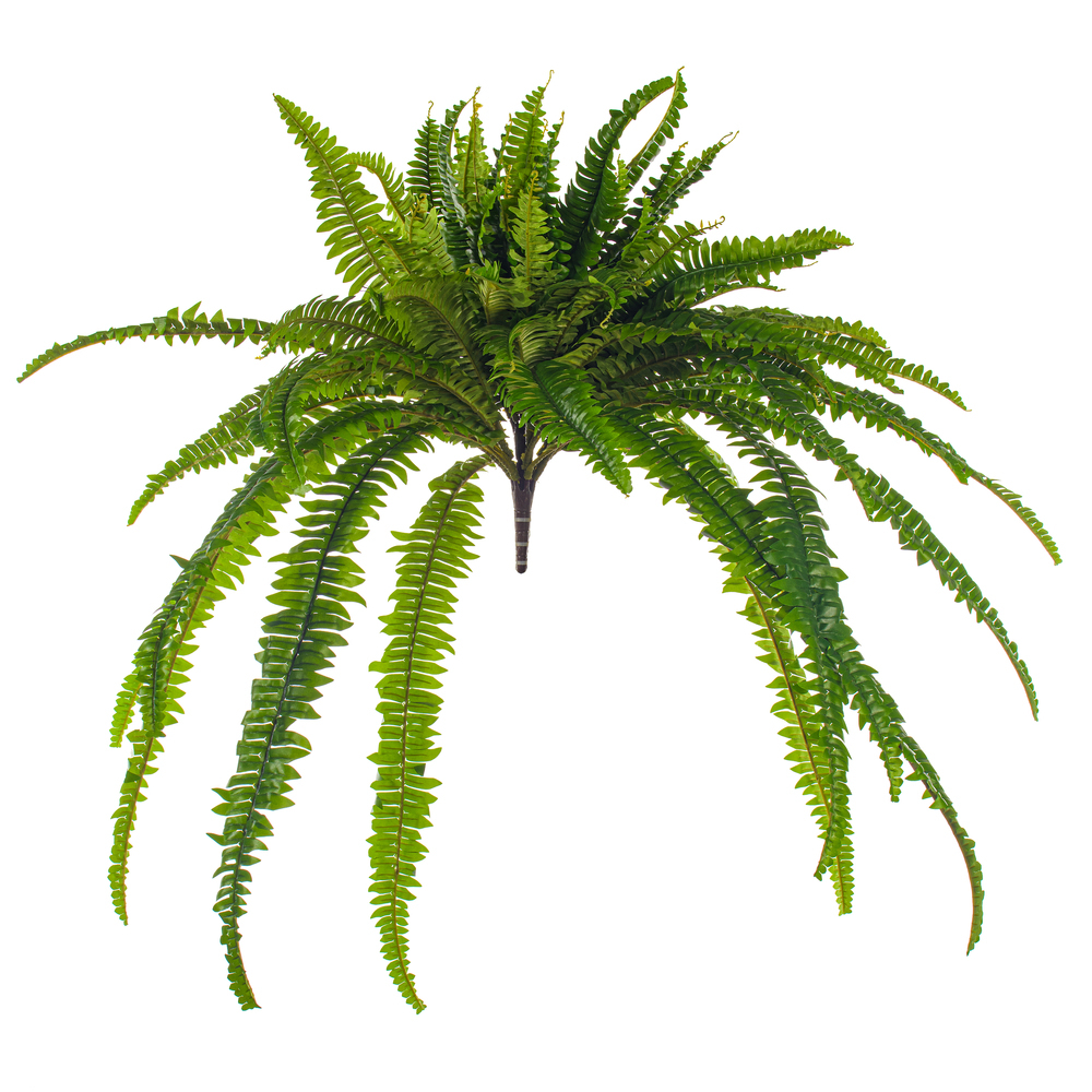 Vickerman Green Artificial Boston Fern Bush