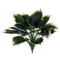 21" Frosted Variegated Hosta Bush UV