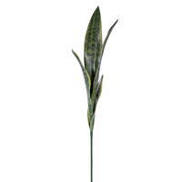 Vickerman Artificial Green Sanseveria Spray
