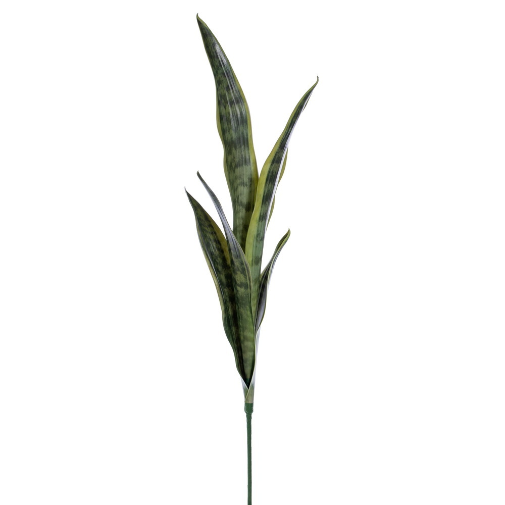 Vickerman Artificial Green Sanseveria Spray