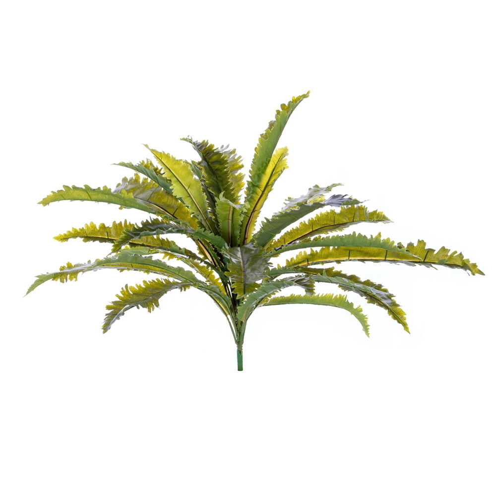 24" Green Margarintum Bush FT UV