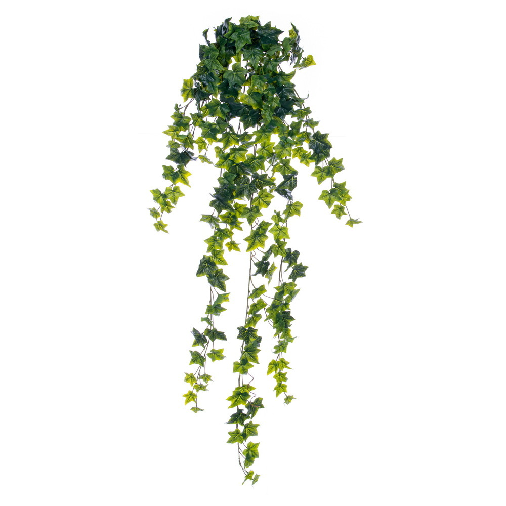 53" Green Sage Ivy Hanging Bush FT UV