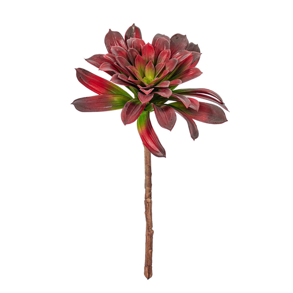 16" Red Succulent Stem