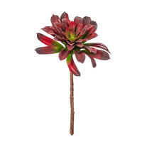 16" Red Succulent Stem