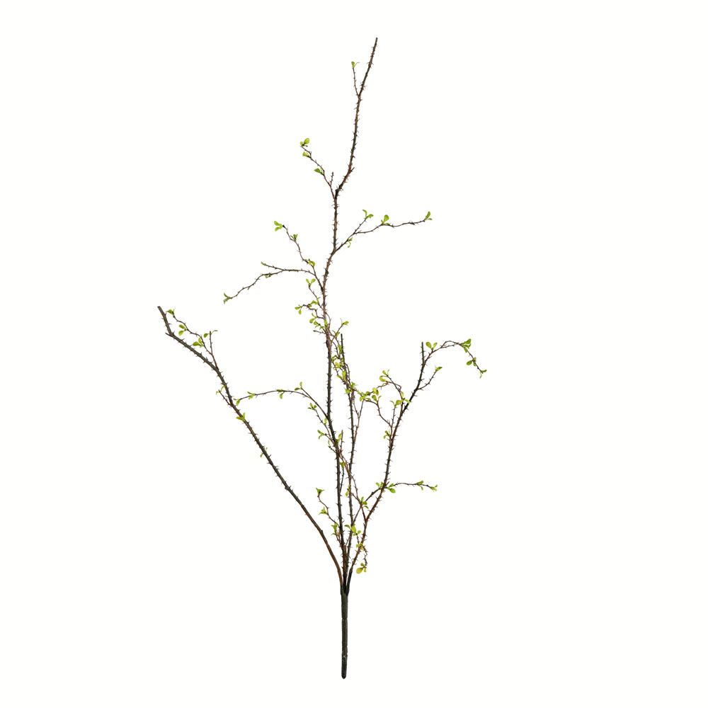Vickerman Artificial Green Baby Leaf Branch, 2/pack