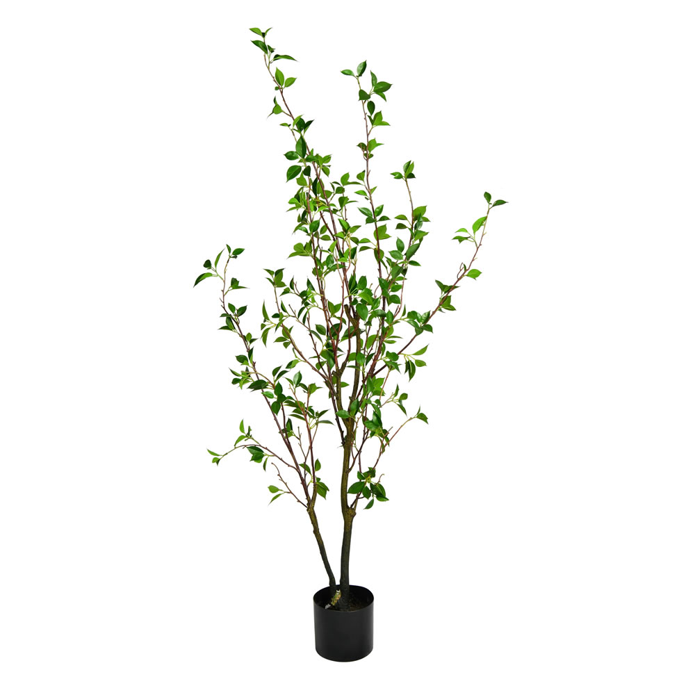 Vickerman Artificial Potted Baby Leaf Tree