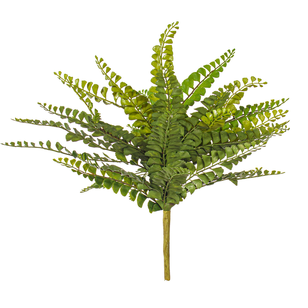 16" Maiden Fern Bush UV