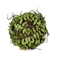 Vickerman Artificial Boston Fern Ball