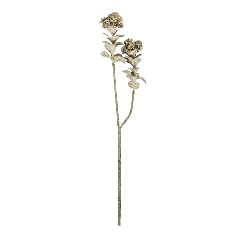 22" Dark Green Sedum Spray 2/pk
