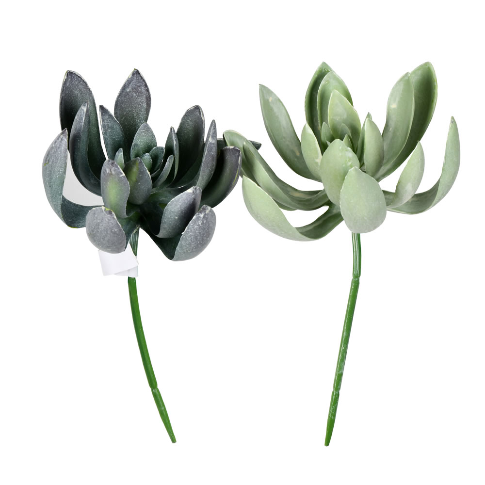 8" Green Echeveria Spray 4/pk