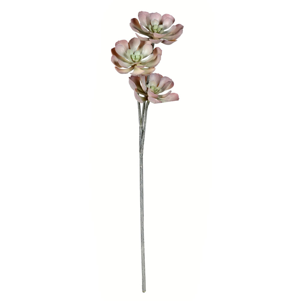 Vickerman Artificial Peperomia Succulent