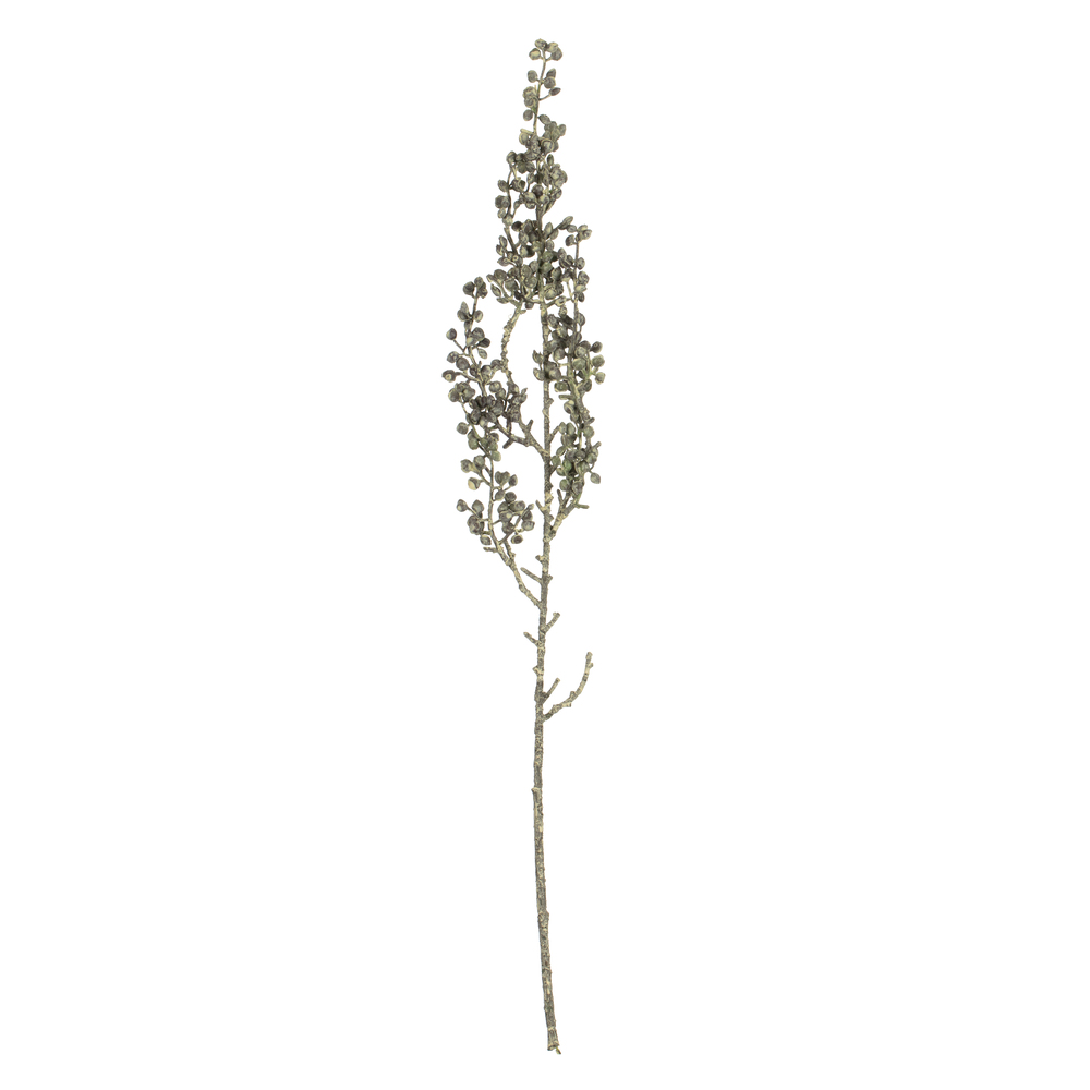 22" Mixed Green Senecio Spray Asst 6/pk