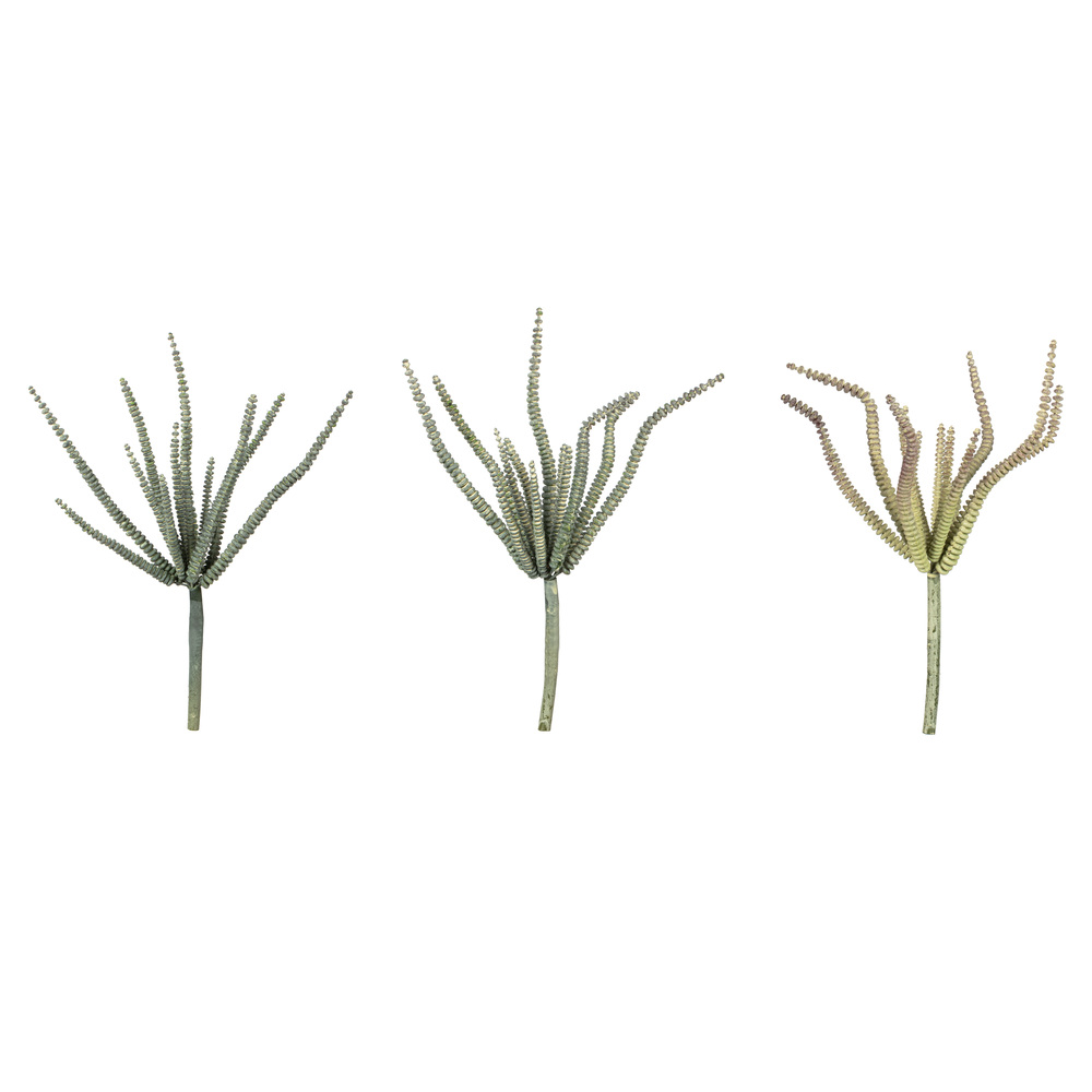 Vickerman Artificial Mixed Green Haworthia Spray, 6 per pack