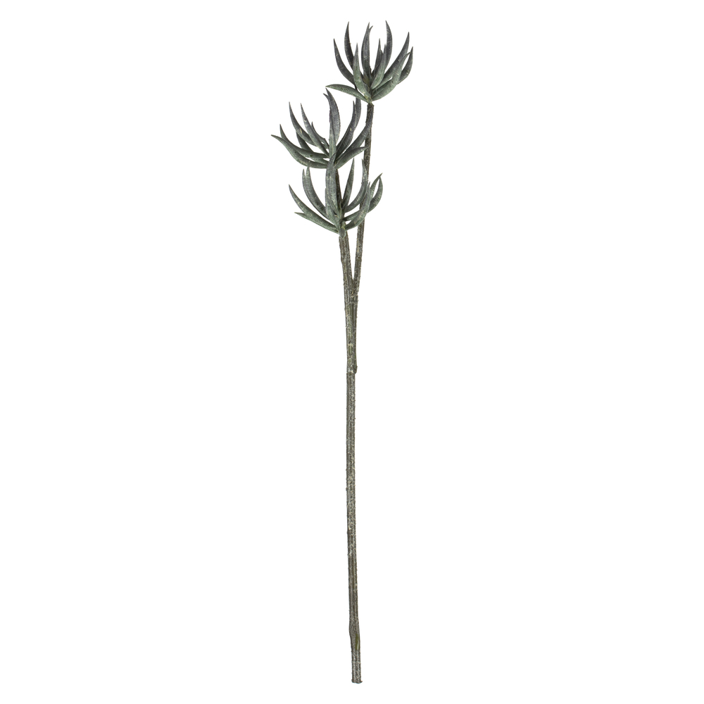 24" Mixed Green Aloe Spray Asst 3/pk