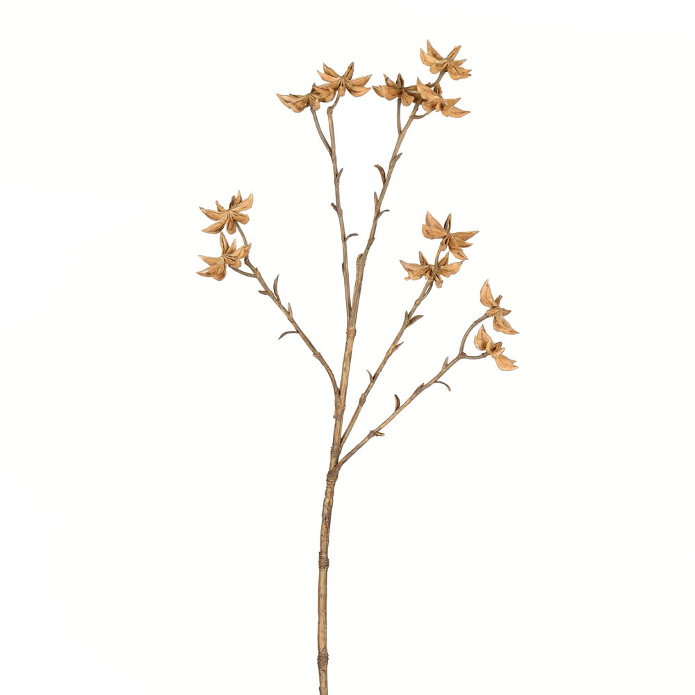 24" Beige Illicium Verum Spray 4/pk