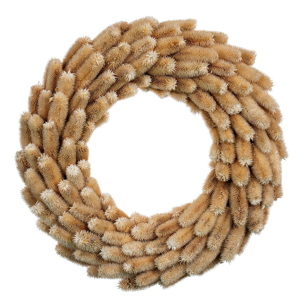 18" Cream Natural Thistle Wreath
