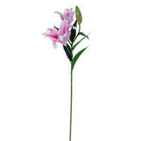 32" White/Pink Stargazer Lily FT 2/Bag