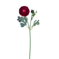 18" Burgundy Ranunculus Fresh Touch 2Bag