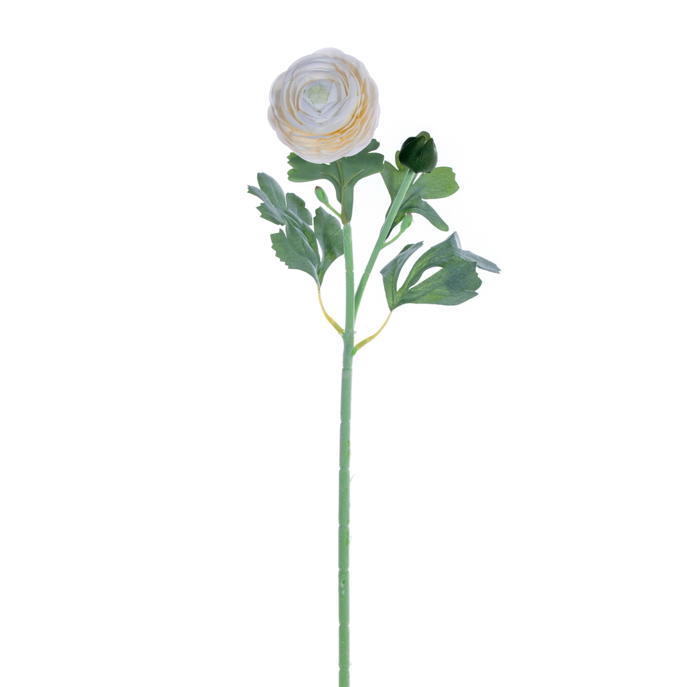 18" White Ranunculus Fresh Touch 2/Bag