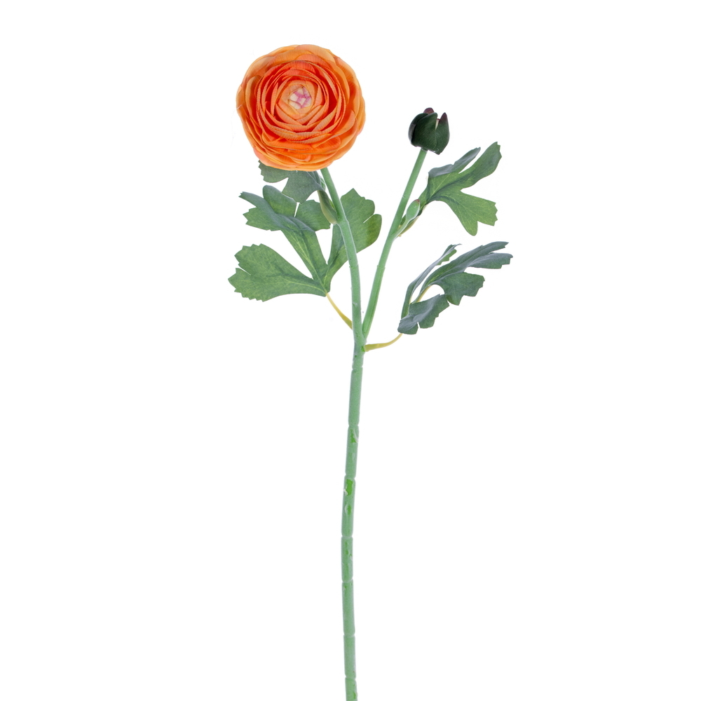 18" Orange Ranunculus Fresh Touch 2/Bag