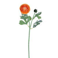 18" Orange Ranunculus Fresh Touch 2/Bag