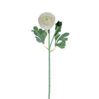 18" White/Green Ranunculus Fresh T2/Bag