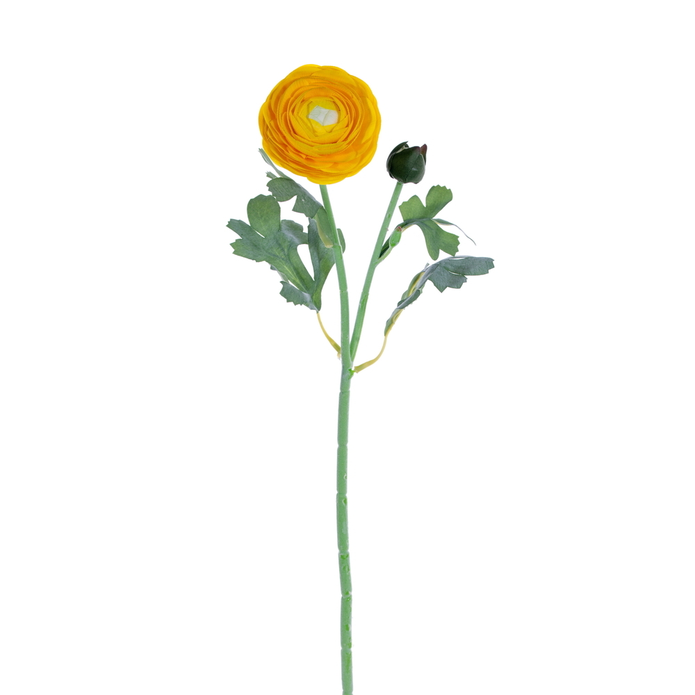18" Yellow Ranunculus Fresh Touch 2/Bag