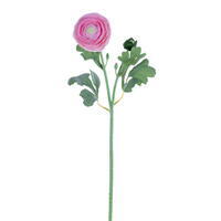 18" Pink Ranunculus Fresh Touch 2/Bag