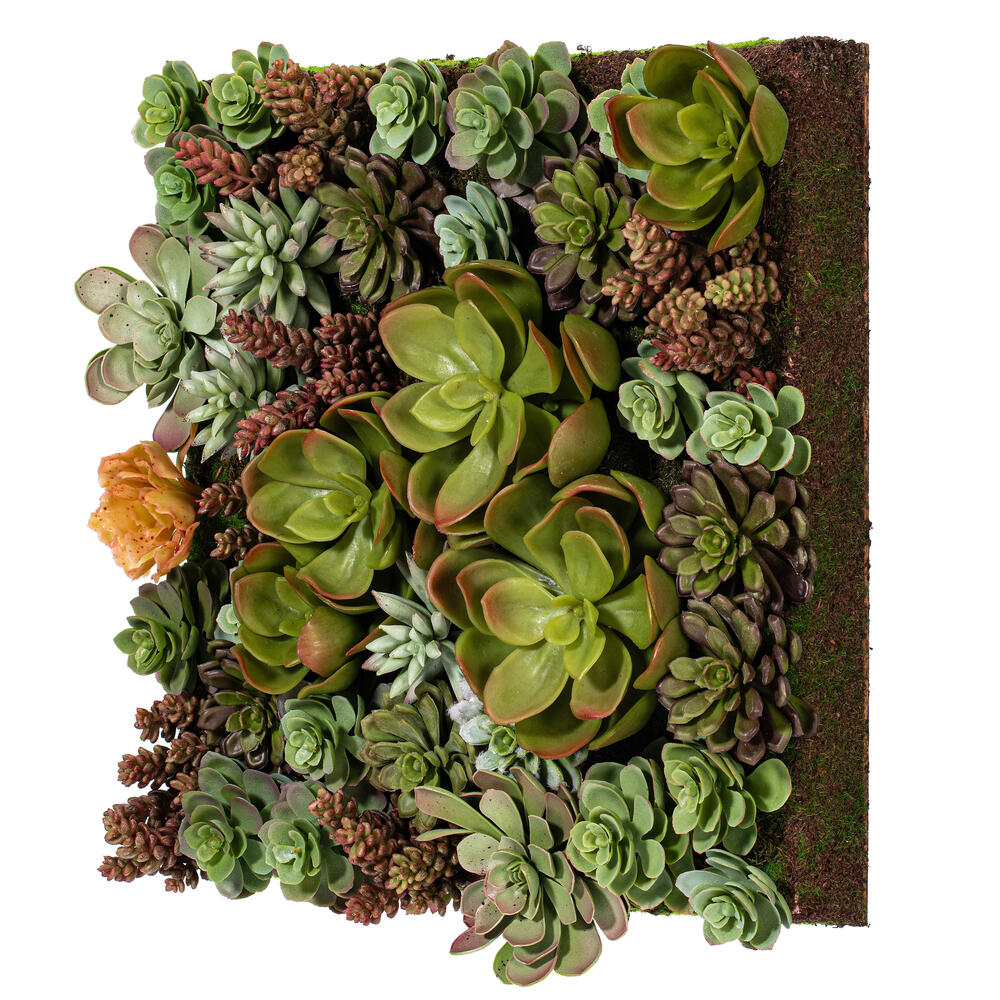 16.5" Multi-Colored Succulent Wall Arran