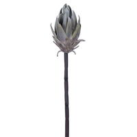 Vickerman 22" Protea Stem 2/Bag