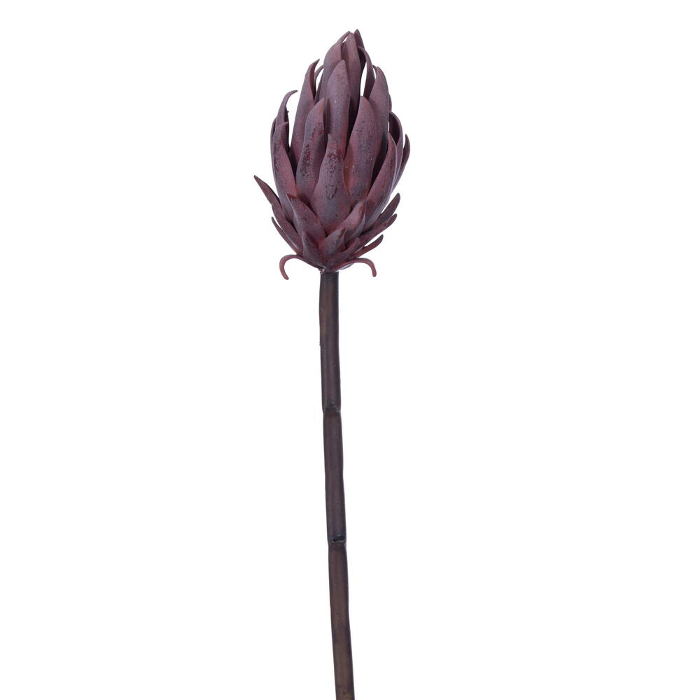 Vickerman 22" Protea Stem 2/Bag