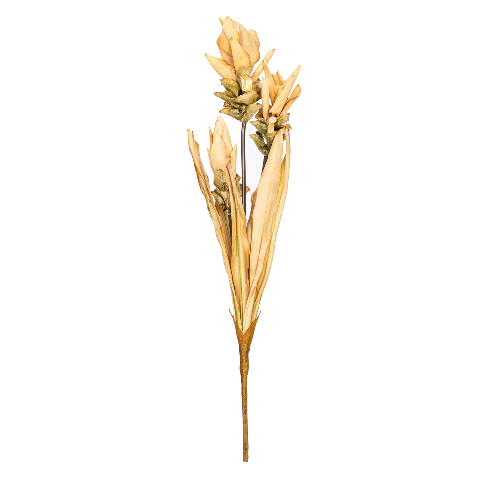 Vickerman 28.5" Siam Tulip 2/Bag