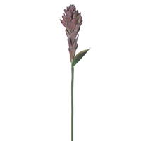 29" Mauve/Green Siam Tulip Spray 2/Bag