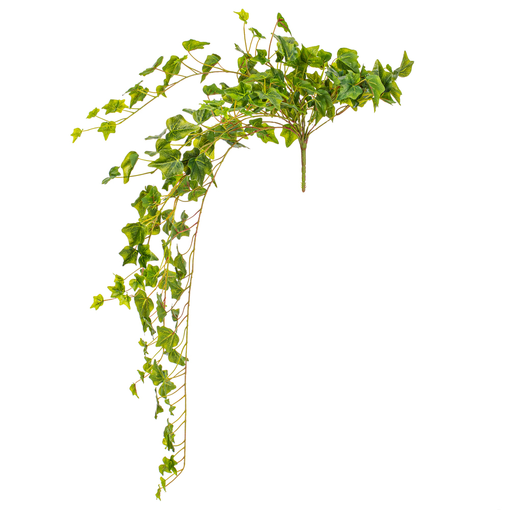 Vickerman Artificial Green Ivy Hanging Bush