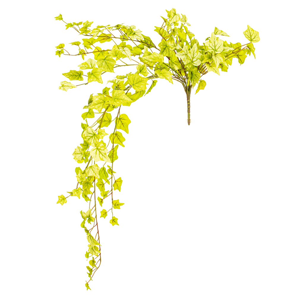 Vickerman Artificial Light Green Ivy Hanging Bush