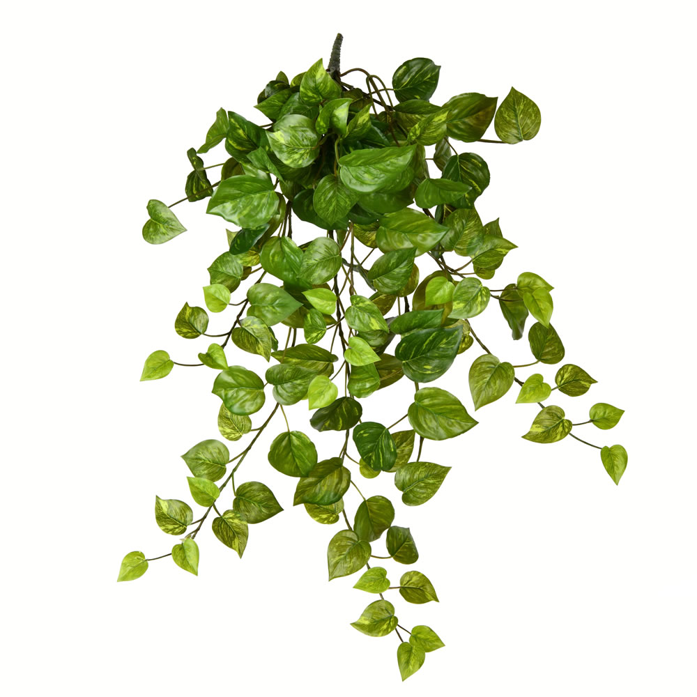 Vickerman Artificial Pothos Hanging Bush