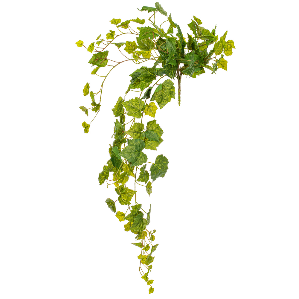 Vickerman Artificial Green Grape Leaf Ivy Hanging Bush