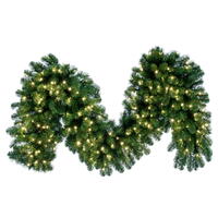 9' x 24" Grand Teton Garl WA LED 200WW