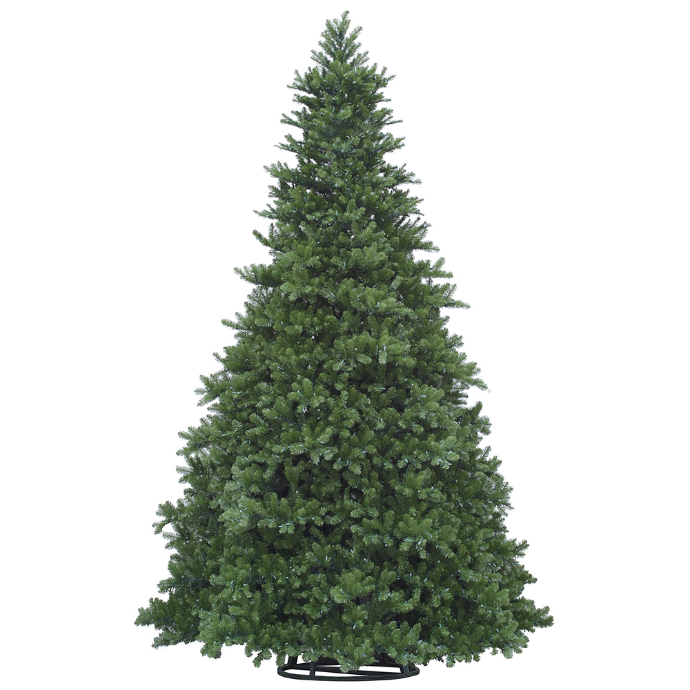 New Grand Teton Christmas Tree