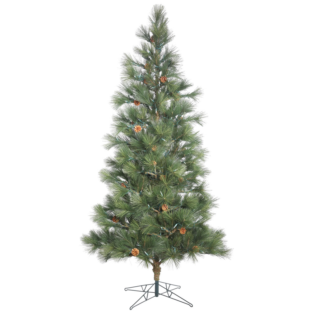 Vickerman Redmond Spruce Christmas Tree