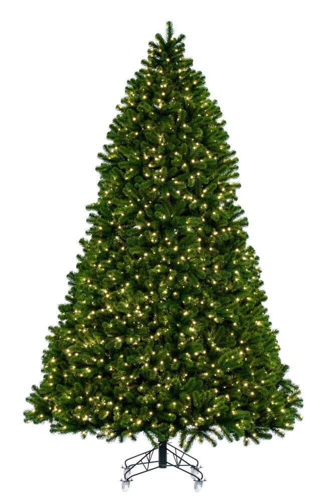 Vickerman Deluxe Sequoia Pine Artificial Full Christmas Tree