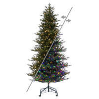 Vickerman Colorado Fir Artificial Christmas Tree