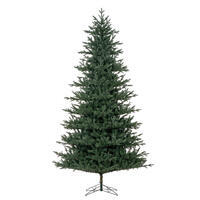 10' x 67" Colorado Blue Fir 4510T