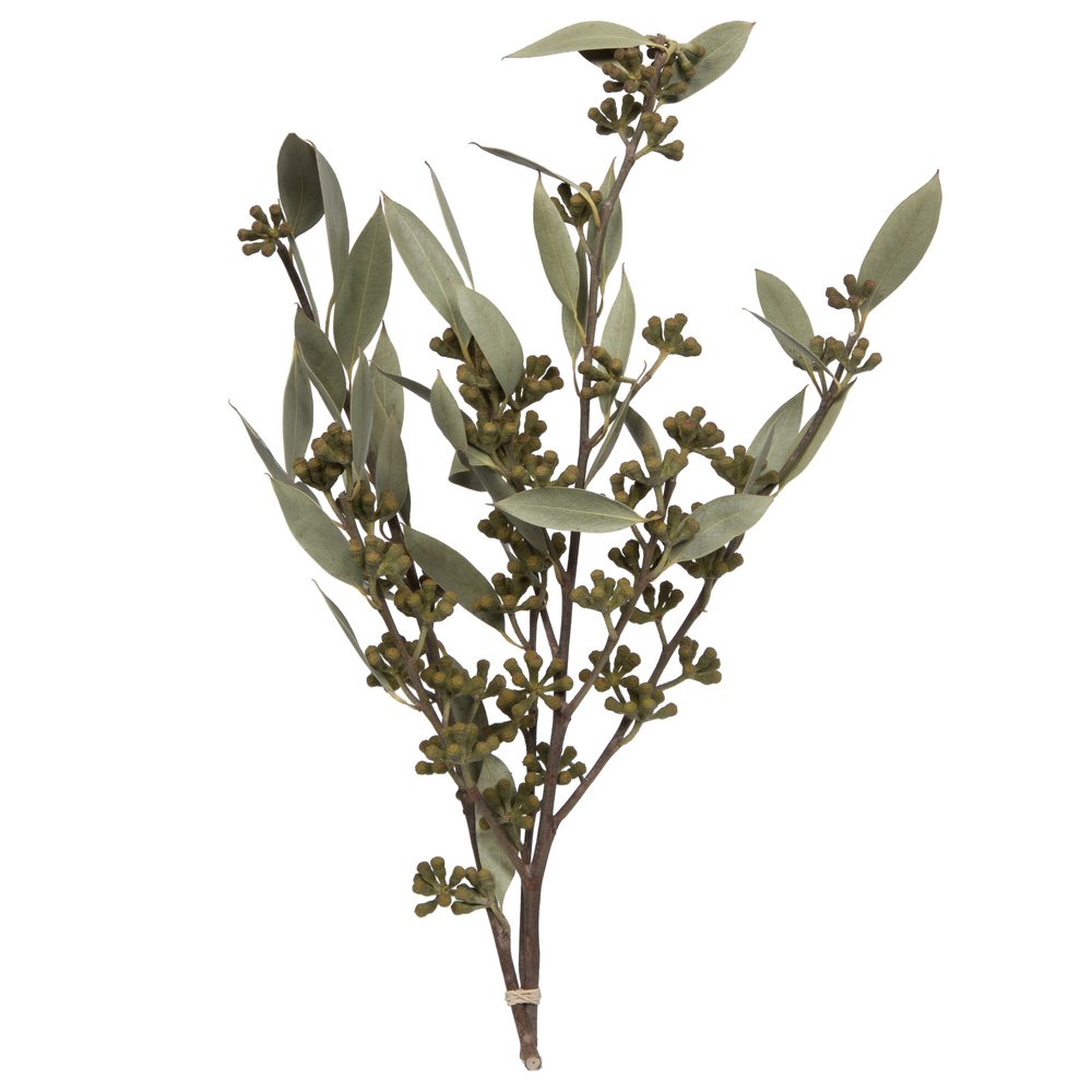 Vickerman Natural Botanicals 15-17" x 8" Amber Fruit Foliage