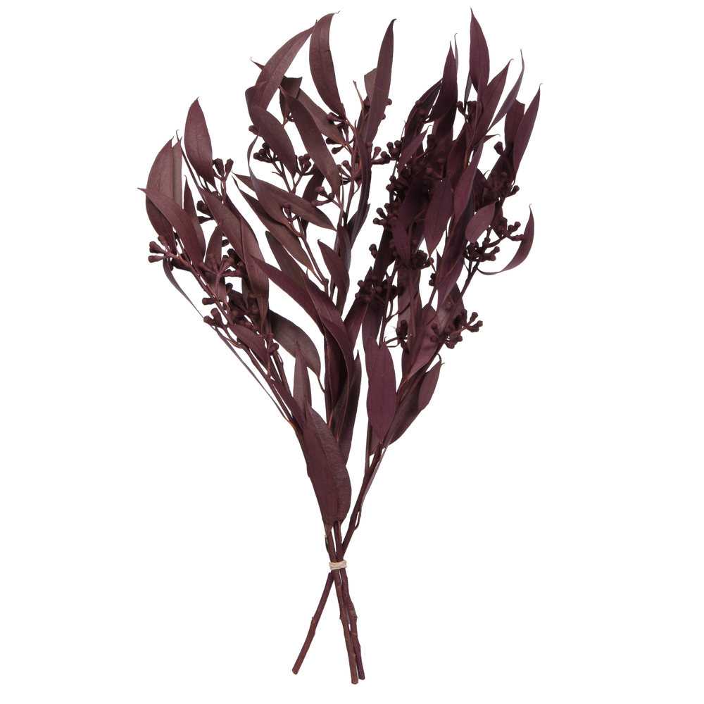 Vickerman Natural Botanicals 15-17" x 8" Amber Fruit Foliage