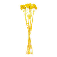 Vickerman 16-20" Natural Dried Craspedia Bunch 1.75 oz