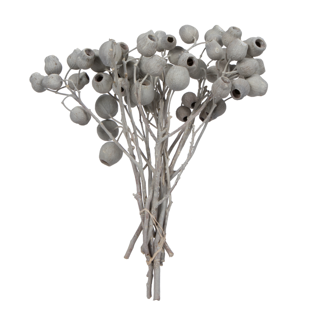 Bellgum Branch