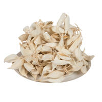 3" Brachychiton Bleached 1.1 lb/tray