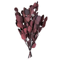 Vickerman Natural Botanicals 18-20" x 8" Eucalyptus Populus, 100 grams per unit